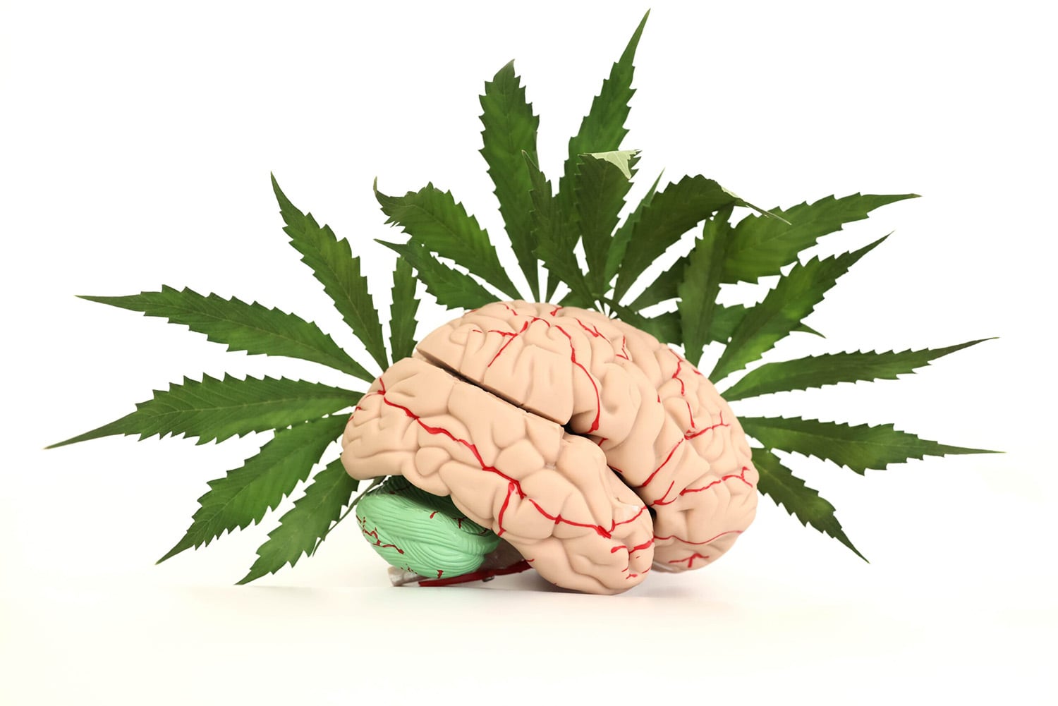 marijuana effects of the brain